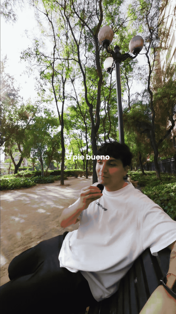 Parque Bosque Santiago